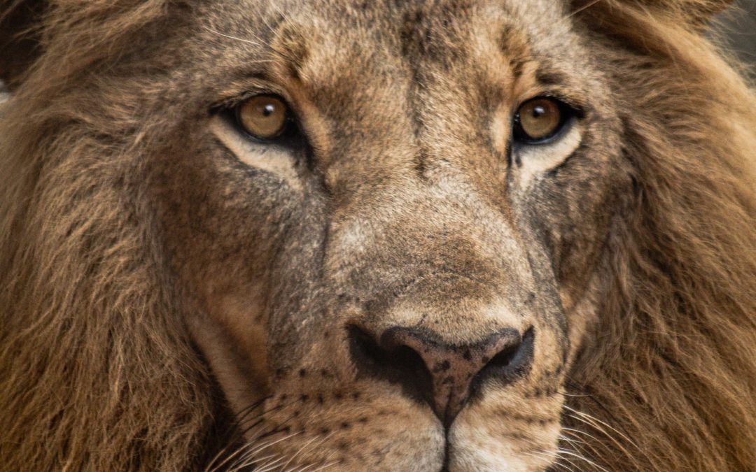 La Consapevolezza Anti-Stress