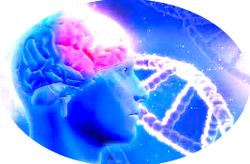 Epigenetica, nuova prospettiva