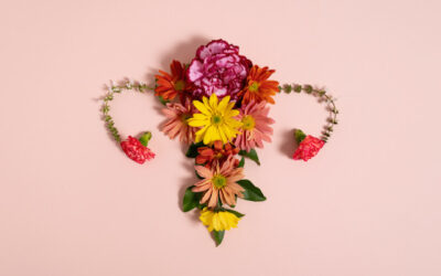 Menopausa secondo la Medicina tradizionale cinese